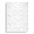 Kołdra Całoroczna 220x200 ANTYBAKTERYJNA Pranie w 60°C Pikowana 300gsm