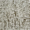 Koc Narzuta 200x220 Bukla KOALA beż+biały Sherpa Eurofirany Gruby 250gsm