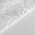 Koc Dwustronny 170x210 Polar Bukla TEDY biały Eurofirany Sherpa Baranek